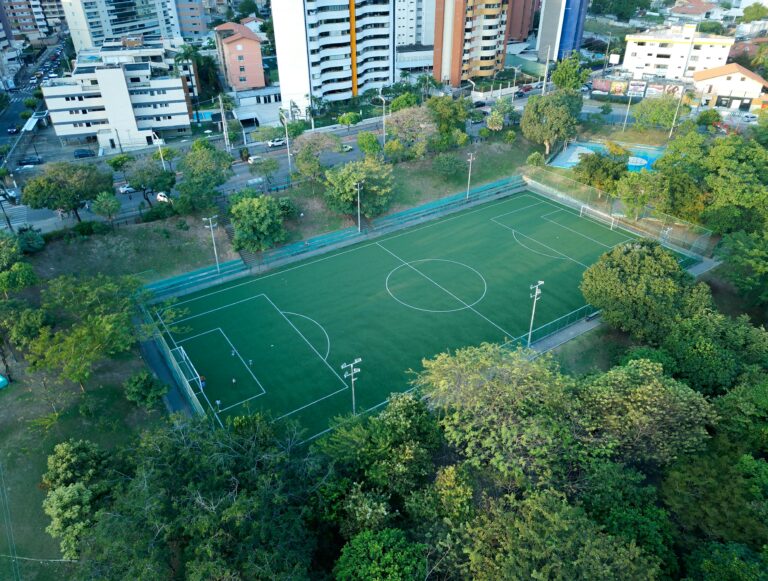 Sustainability in Football Club and League Focus