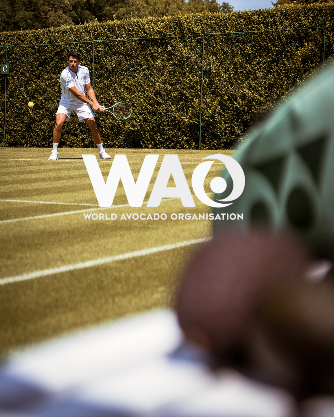 Luciano Darderi X World Avocado Organisation (1)