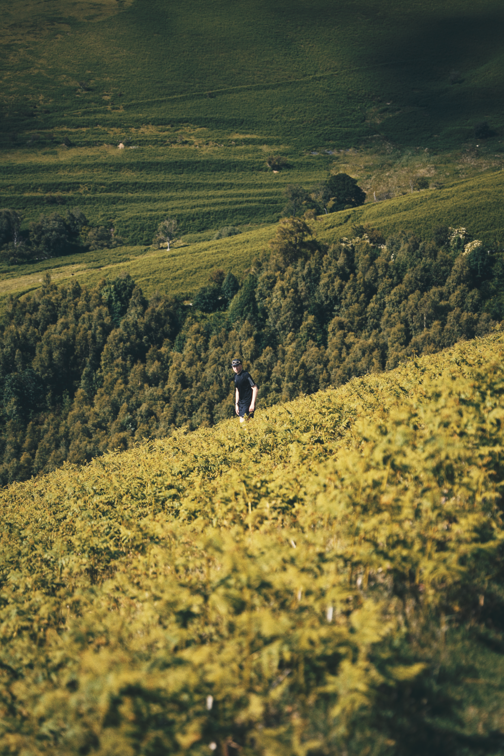 Runner in field