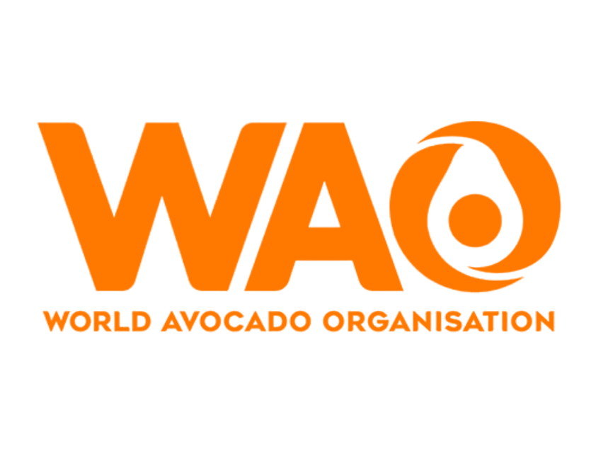 World Avocado Association